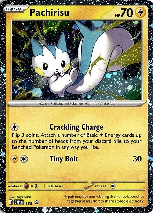 Pachirisu — SV Black Star Promos