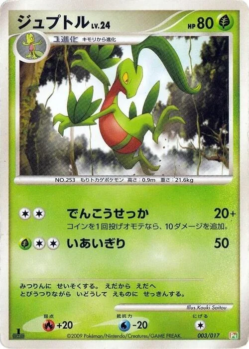 Grovyle Lv.24 — Arceus LV.X Deck: Grass & Fire