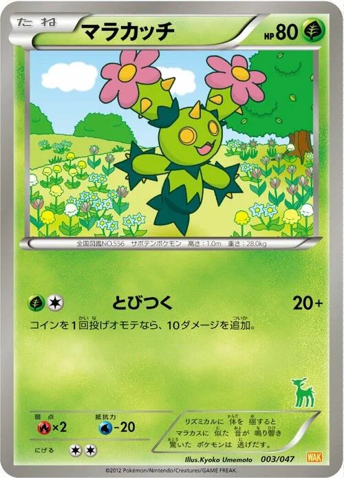Maractus — Everyone's Exciting Battle