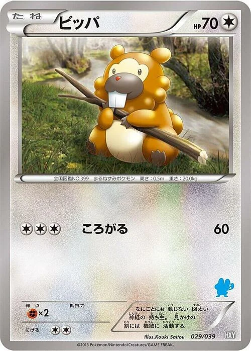 Bidoof — XY Beginning Set