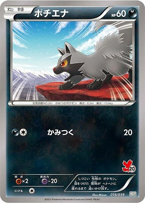 Poochyena — XY Beginning Set