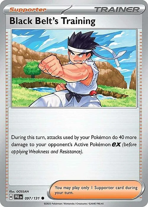 Black Belt's Training — Prismatic Evolutions
