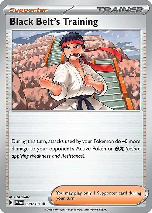 Black Belt's Training — Prismatic Evolutions