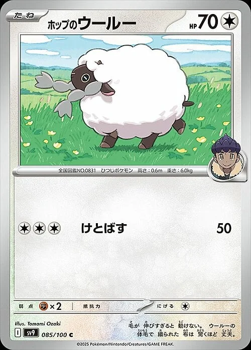 Hop's Wooloo — Battle Partners