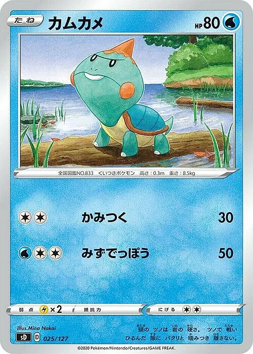 Chewtle — V Starter Decks
