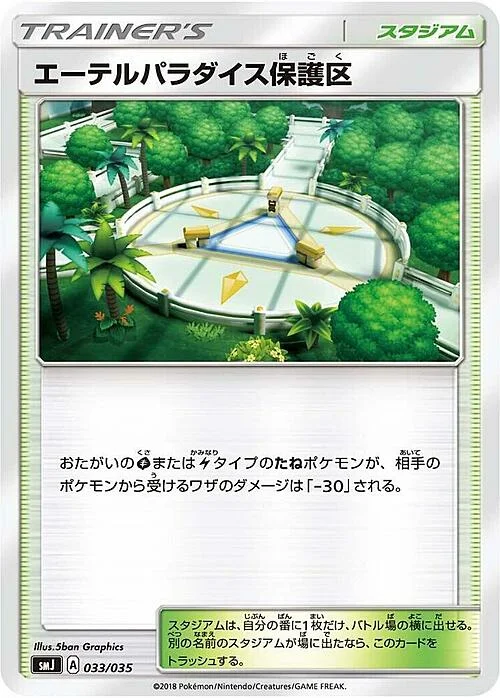 Aether Paradise Conservation Area — Tag Team GX Premium Trainer Box