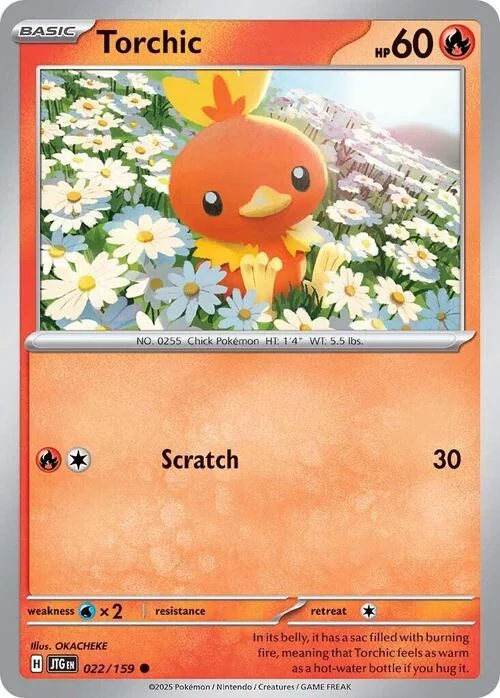 Torchic — Journey Together