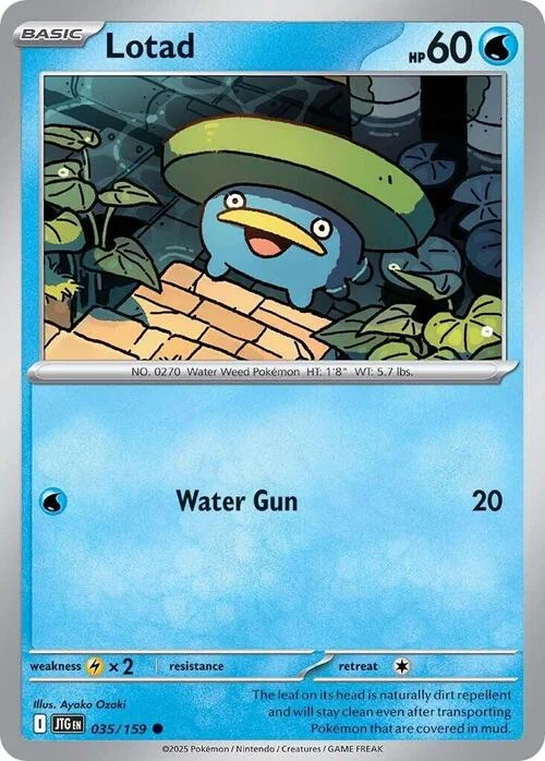 Lotad — Journey Together
