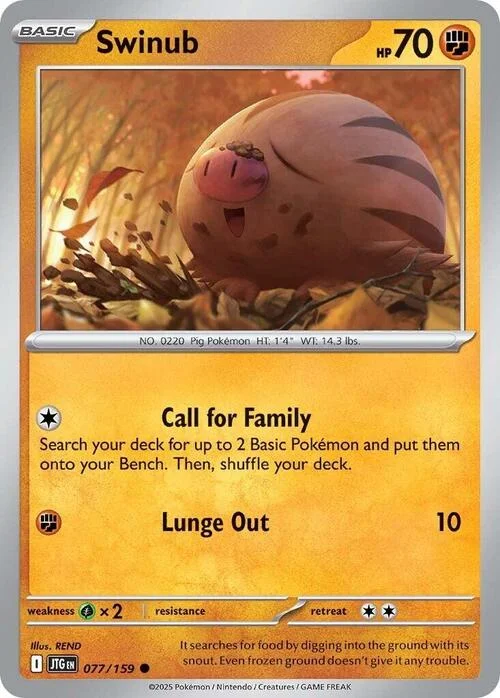 Swinub — Journey Together