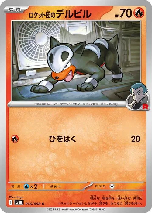 Team Rocket's Houndour — The Glory of Team Rocket