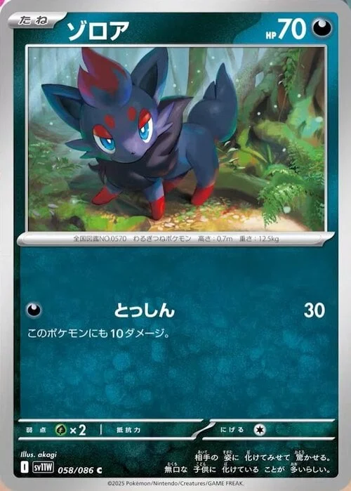 Zorua — White Flare | sv11W
