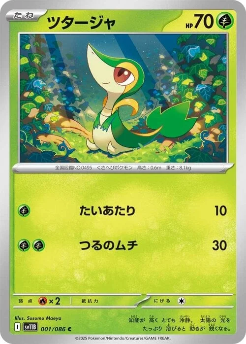 Snivy — Black Bolt | sv11B