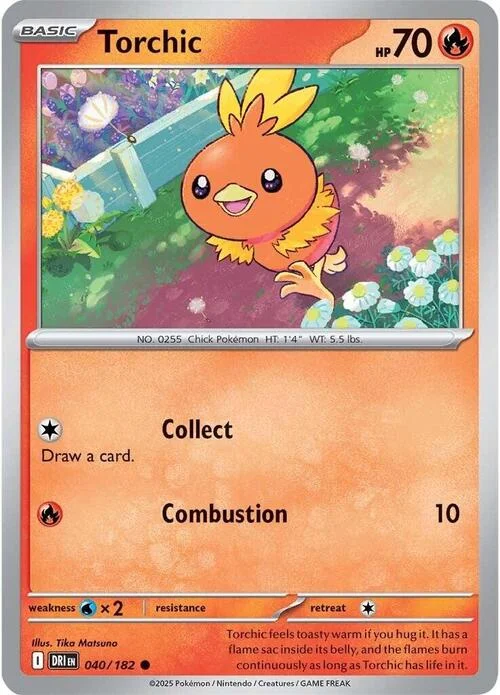 Torchic — Destined Rivals