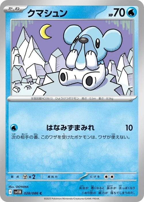 Cubchoo — Black Bolt | sv11B