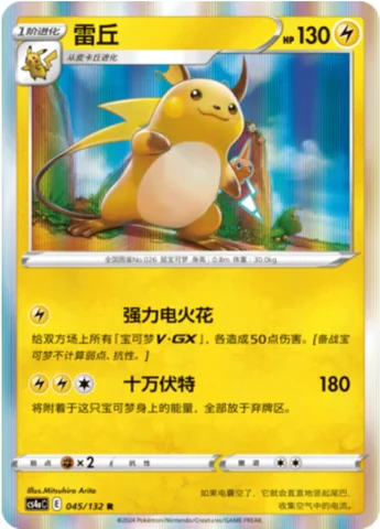 Raichu — CS4a: Nine Colors Gathering - Friends