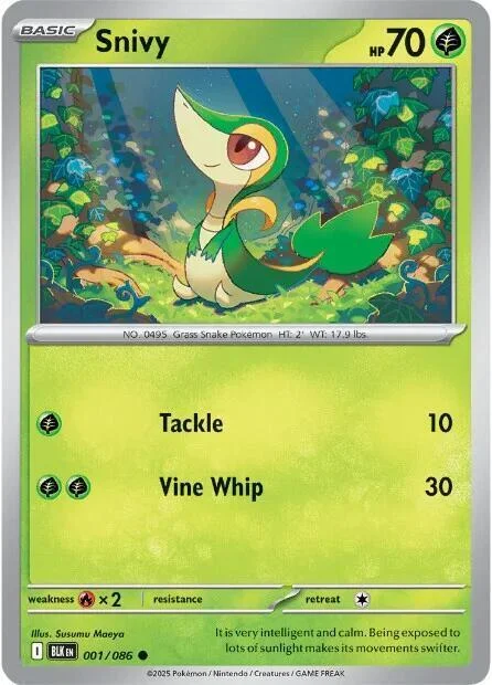 Snivy — Black Bolt