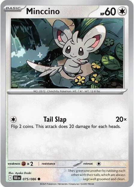 Minccino — Black Bolt