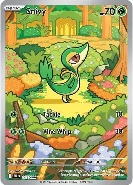 Snivy — Black Bolt