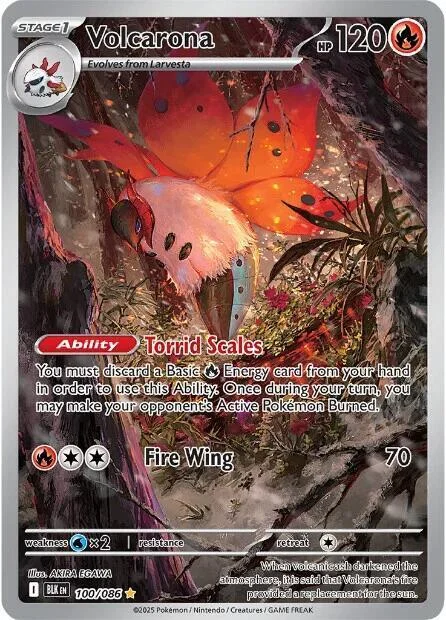 Volcarona — Black Bolt