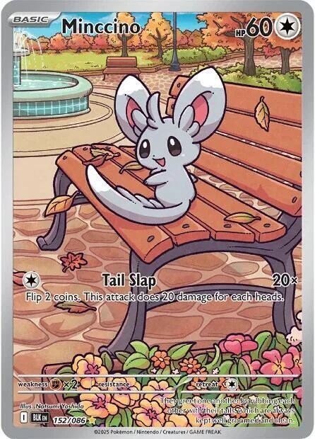 Minccino — Black Bolt