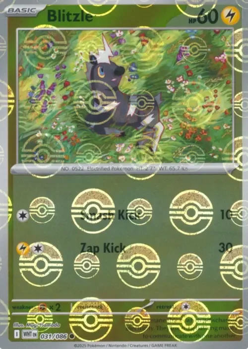 Blitzle — White Flare - Poké Ball Reverse Holo