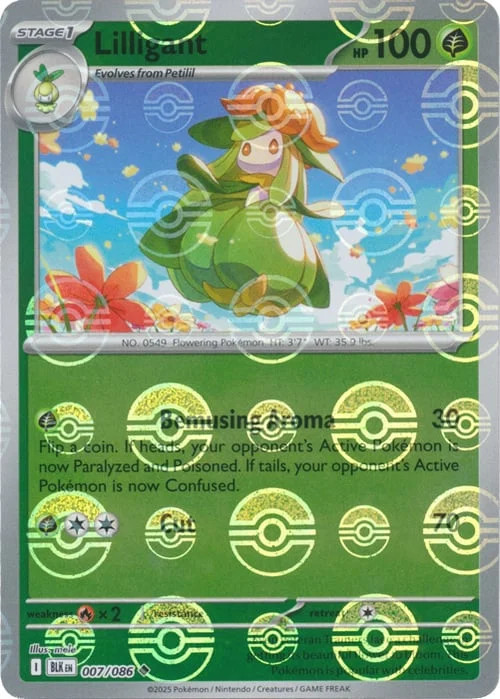 Lilligant — Black Bolt - Poké Ball Reverse Holo