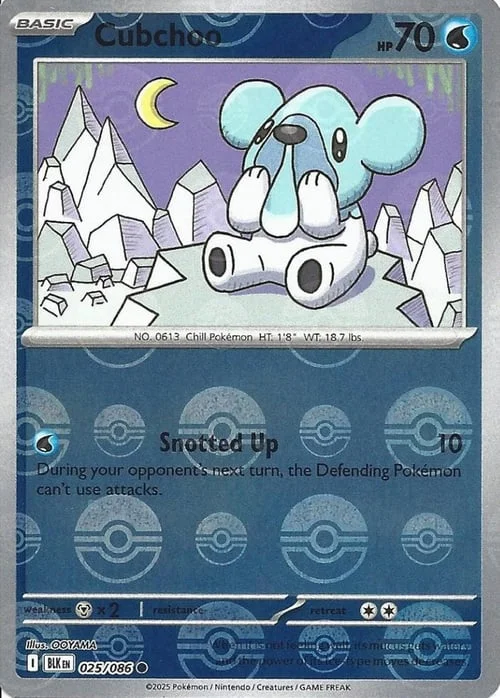 Cubchoo — Black Bolt - Poké Ball Reverse Holo