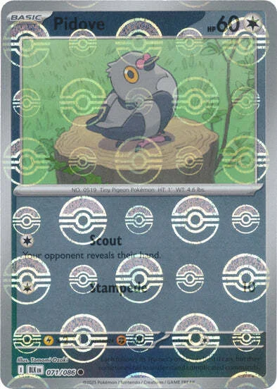 Pidove — Black Bolt - Poké Ball Reverse Holo