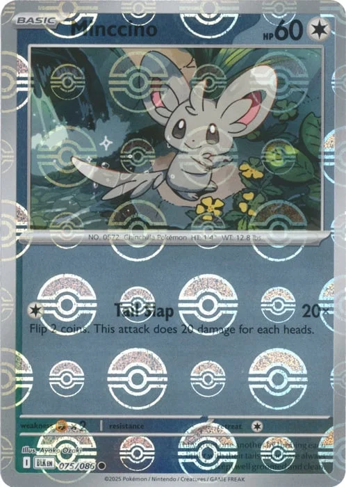 Minccino — Black Bolt - Poké Ball Reverse Holo