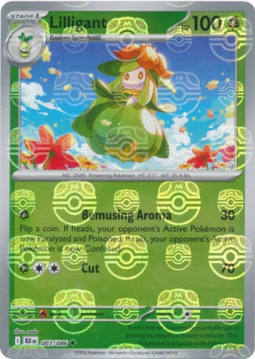 Lilligant — Black Bolt - Master Ball Reverse Holo