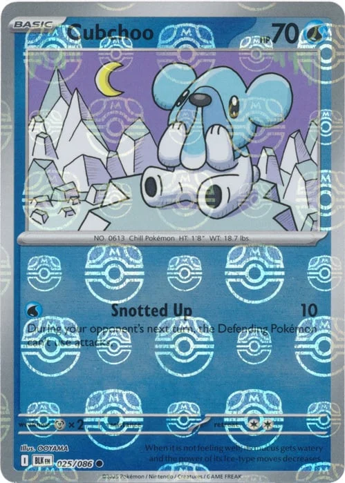 Cubchoo — Black Bolt - Master Ball Reverse Holo