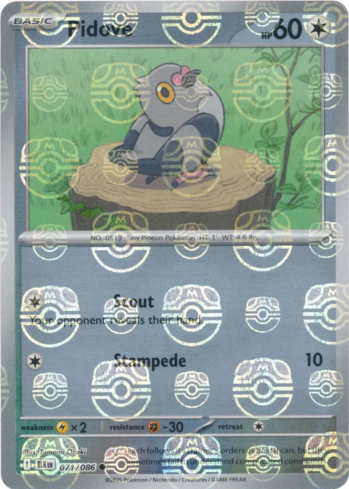 Pidove — Black Bolt - Master Ball Reverse Holo