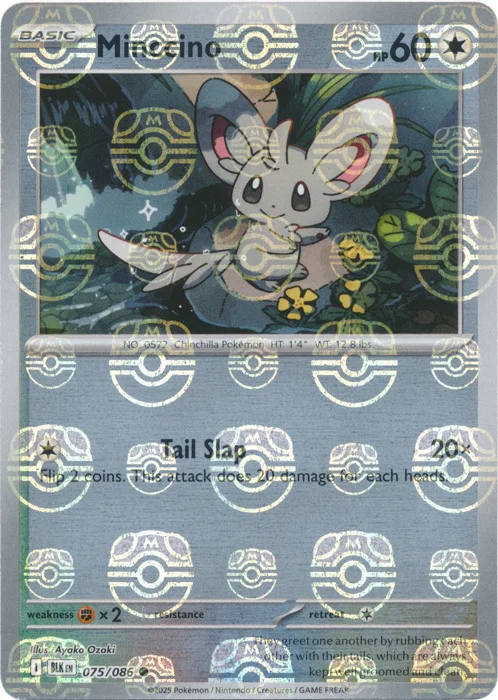Minccino — Black Bolt - Master Ball Reverse Holo