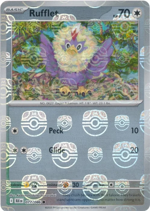 Rufflet — Black Bolt - Master Ball Reverse Holo