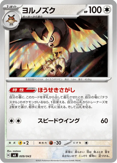 Noctowl — Premium Trainer Box MEGA