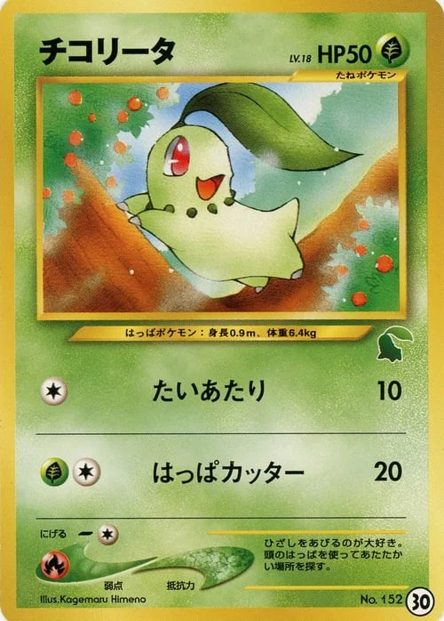Chikorita Lv.18 — Intro Pack Neo Chikorita