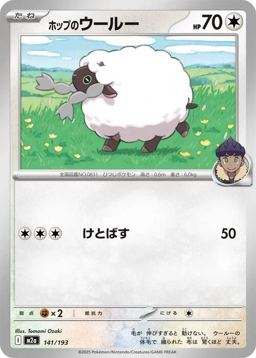Hop's Wooloo — MEGA Dream ex
