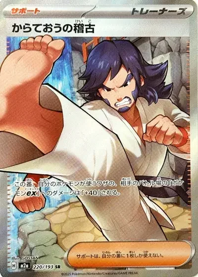 Black Belt's Training — MEGA Dream ex