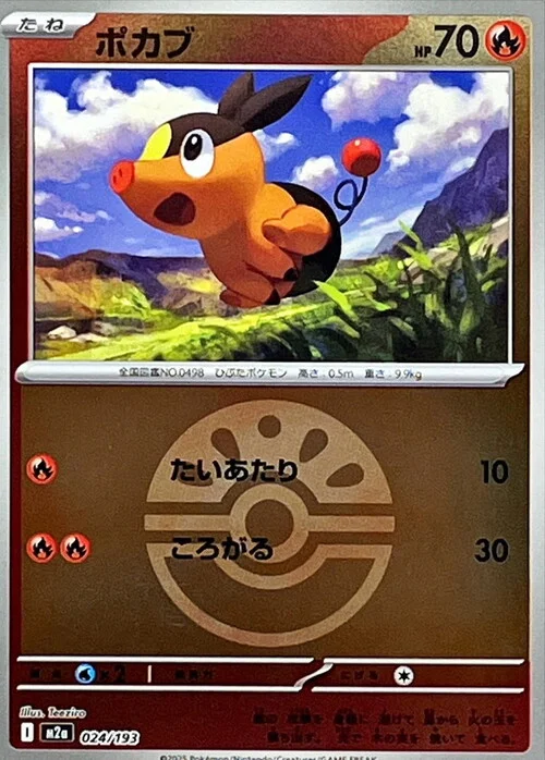 Tepig — MEGA Dream ex - Ball & Rocket Reverse Holo