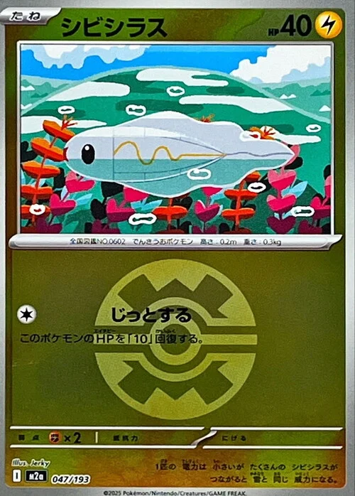 Tynamo — MEGA Dream ex - Ball & Rocket Reverse Holo