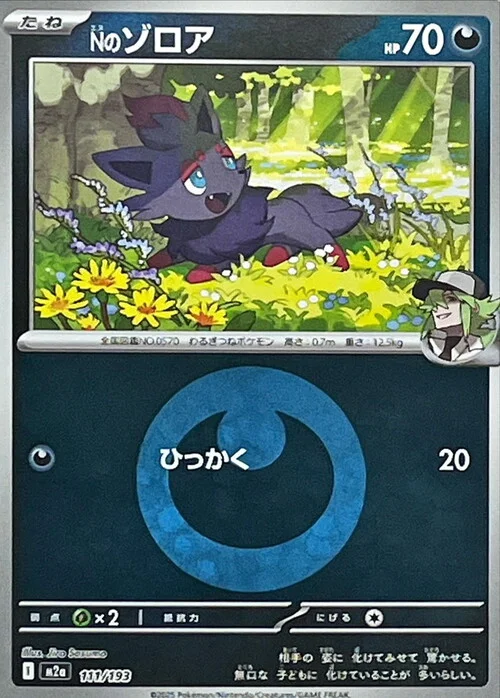 N's Zorua — MEGA Dream ex - Energy Reverse Holo