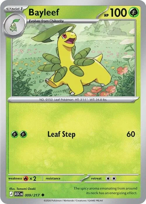 Bayleef — Ascended Heroes