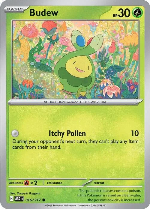 Budew — Ascended Heroes
