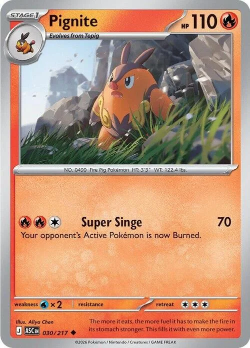 Pignite — Ascended Heroes
