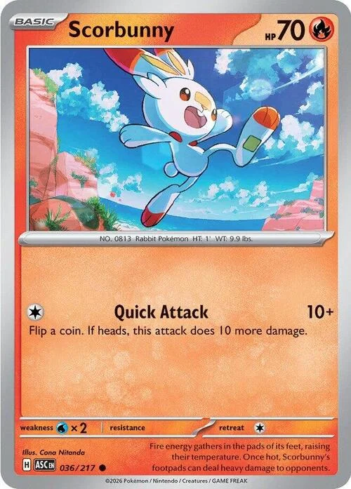 Scorbunny — Ascended Heroes