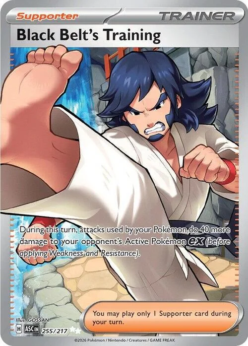 Black Belt's Training — Ascended Heroes
