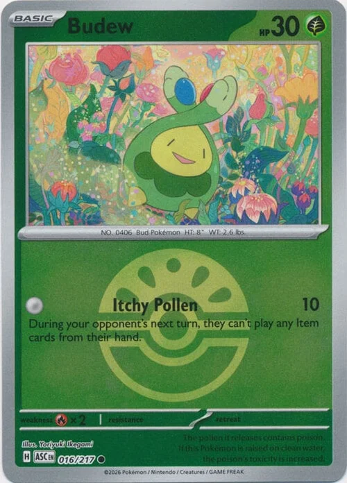 Budew — Ascended Heroes - Ball & Rocket Reverse Holo
