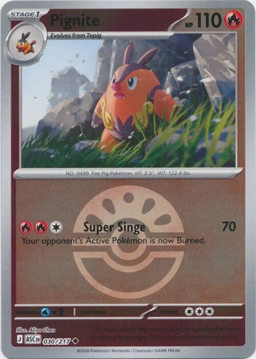 Pignite — Ascended Heroes - Ball & Rocket Reverse Holo