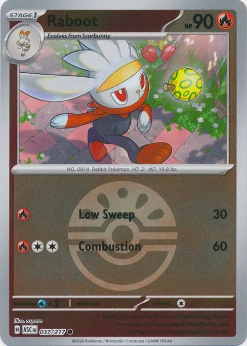 Raboot — Ascended Heroes - Ball & Rocket Reverse Holo