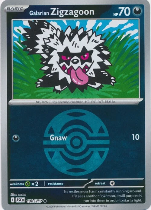 Galarian Zigzagoon — Ascended Heroes - Ball & Rocket Reverse Holo